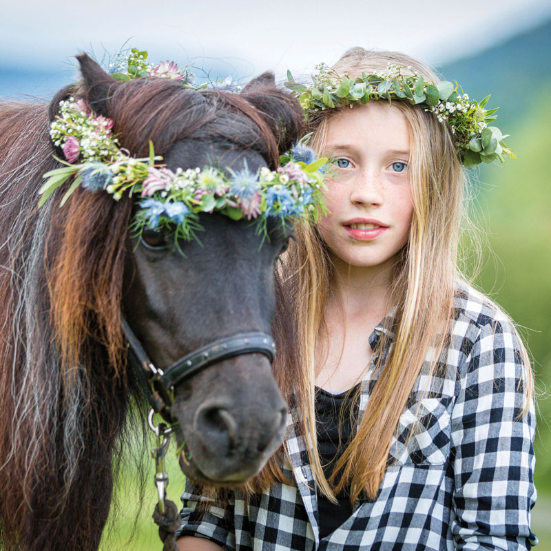 Holland Blumen - Königlich frisch!