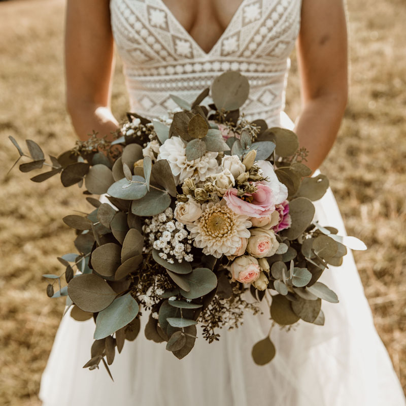 Holland Blumen - Königlich frisch!