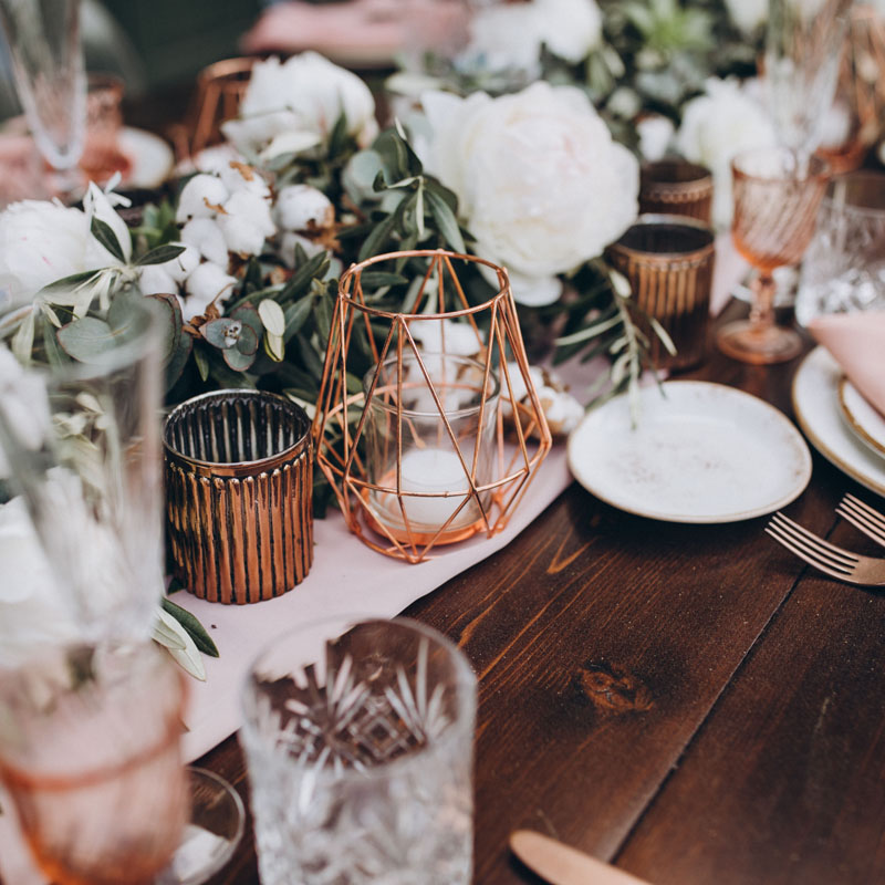 Holland Blumen - Königlich frisch!