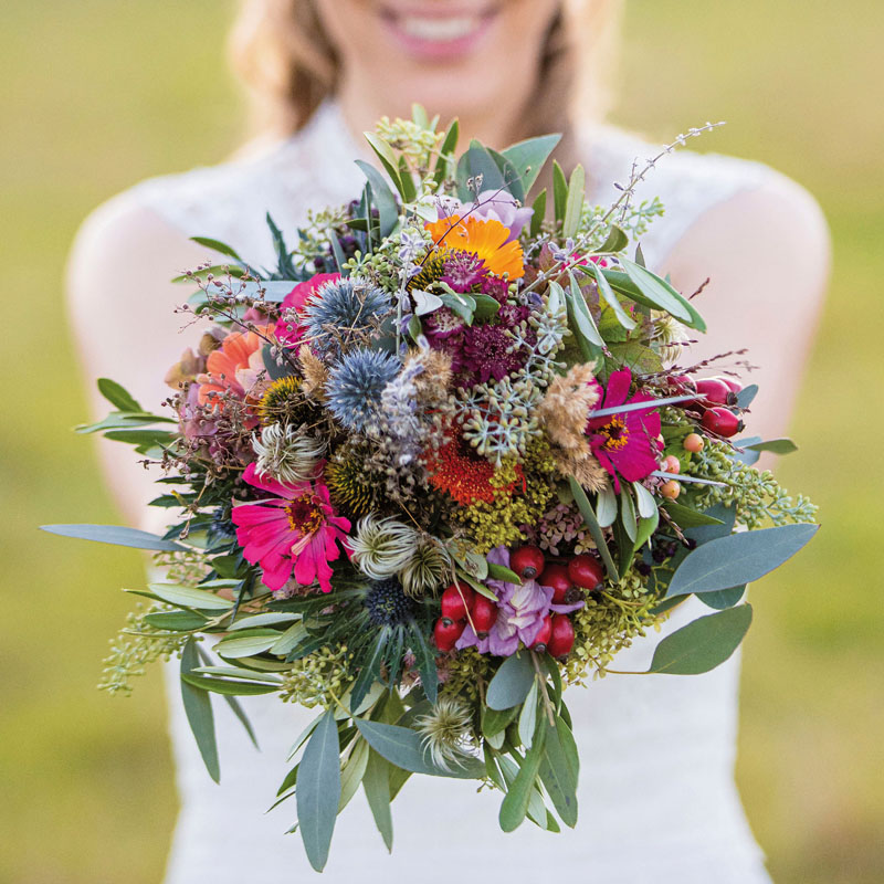 Holland Blumen - Königlich frisch!